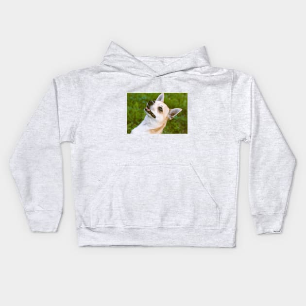 Chiwawa Kids Hoodie by CATS ART